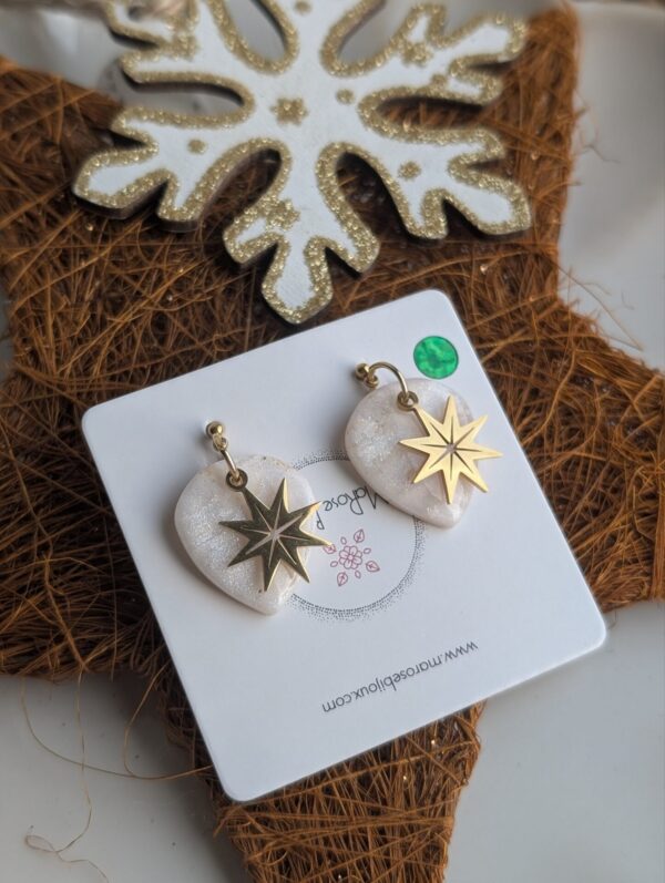 Boucles d'oreilles Minuit givré